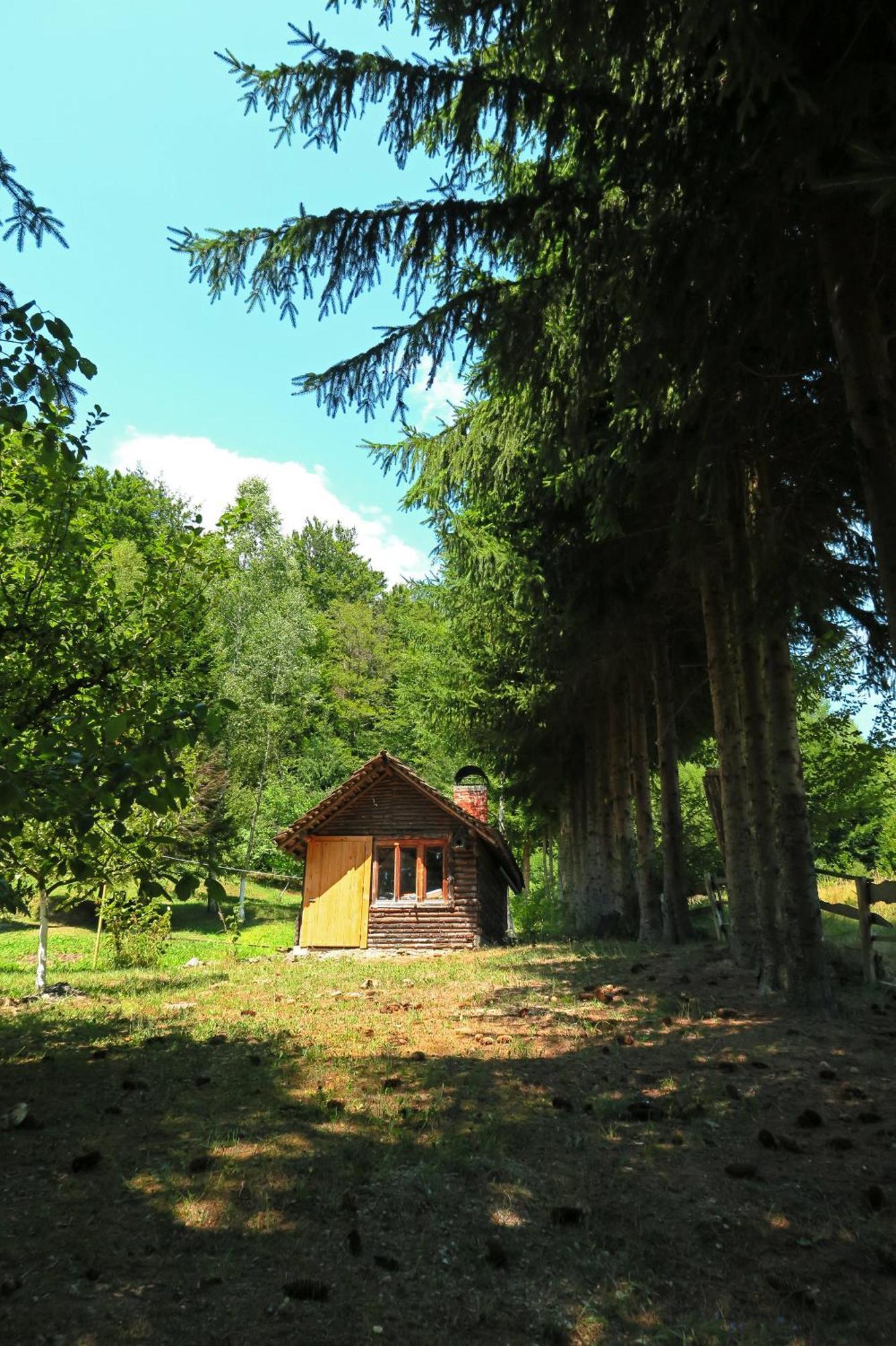 Planinska Kuca Palacinka Villa Despotovac Luaran gambar