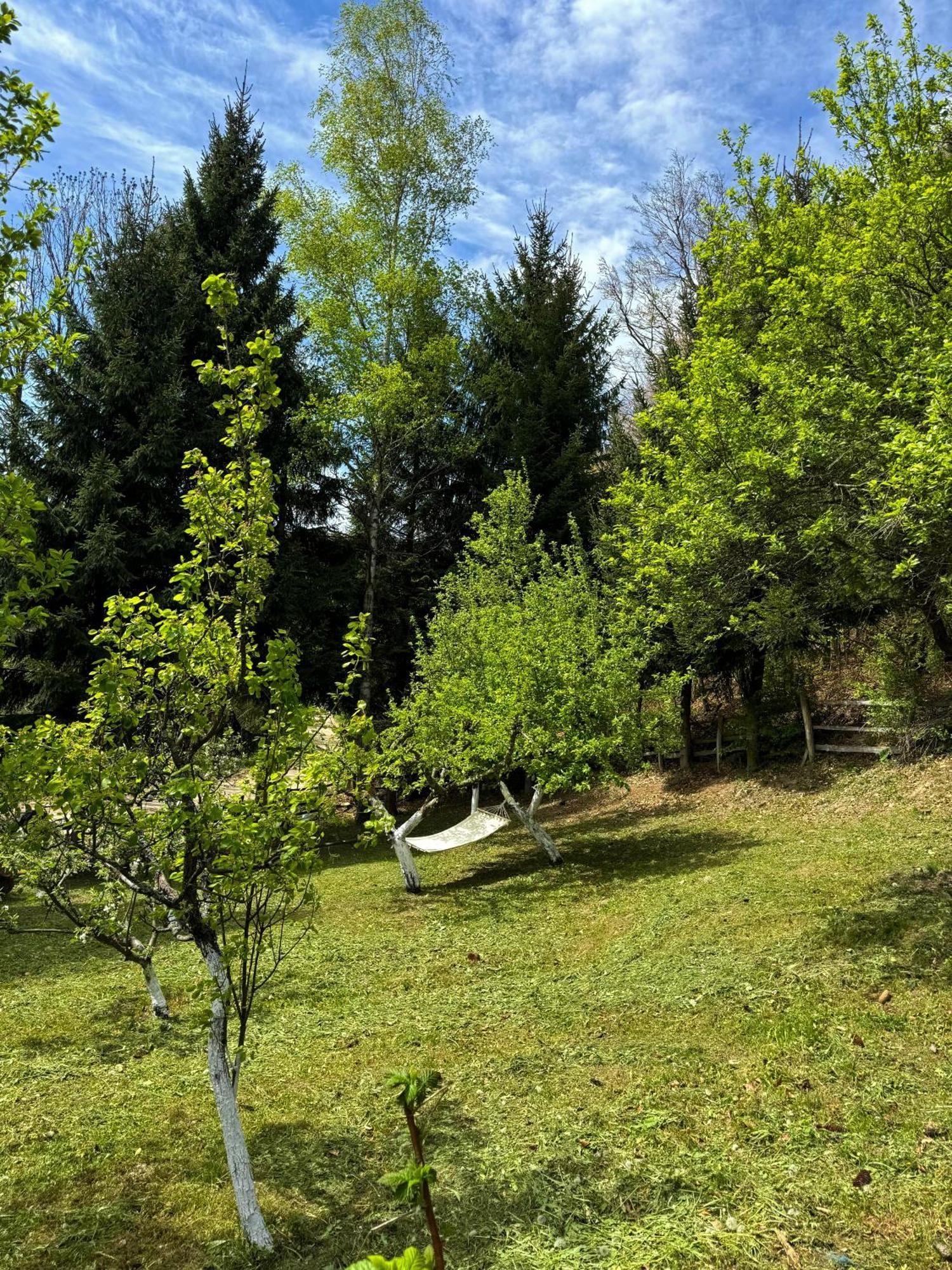 Planinska Kuca Palacinka Villa Despotovac Luaran gambar